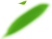 青州市亦點(diǎn)農(nóng)業(yè)科技有限公司介紹